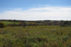 IMG_0464-400x300