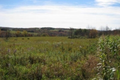 IMG_0465-400x300