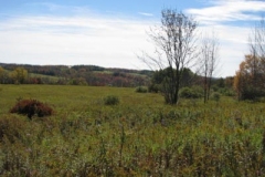 IMG_0466-400x300