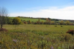 IMG_0467-400x300