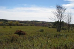 IMG_0468-400x300