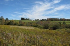 IMG_0469-400x300