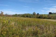 IMG_0470-400x300