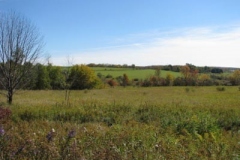 IMG_0471-400x300