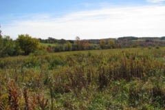 IMG_0472-400x300