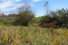 IMG_0473-400x300