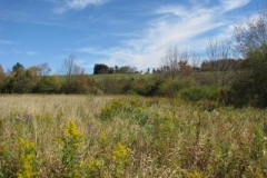 IMG_0474-400x300