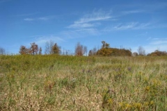 IMG_0475-400x300