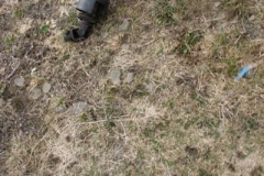 IMG_1372-400x300