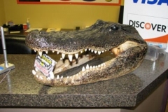 IMG_0369-400x300