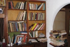 IMG_0528-400x300