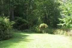 IMG_0805-400x300