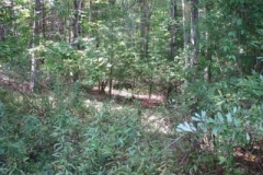 IMG_0808-400x300