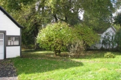 IMG_0954-400x300