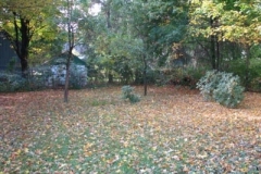 IMG_0958-400x300