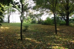 IMG_0960-400x300