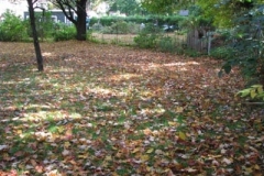 IMG_0961-400x300