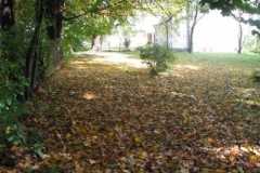 IMG_0962-400x300