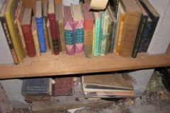 IMG_1212-400x300
