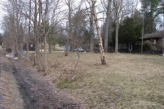 IMG_1264-400x300