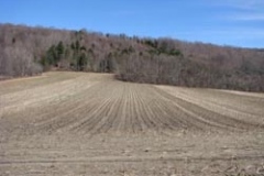 F_IMG_1323-400x300
