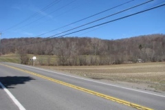 IMG_1318-400x300
