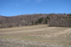 IMG_1319-400x300