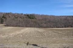 IMG_1320-400x300