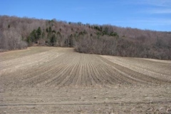 IMG_1323-400x300