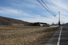 IMG_1325-400x300