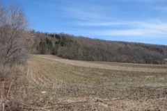 IMG_1326-400x300