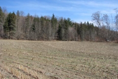 IMG_1327-400x300