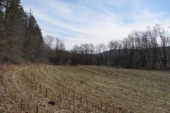IMG_1329-400x300