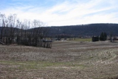 IMG_1330-400x300