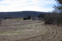 IMG_1331-400x300