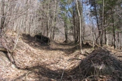 IMG_1332-400x300