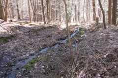 IMG_1334-400x300