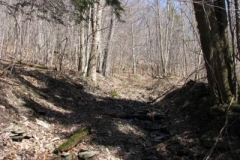 IMG_1335-400x300