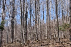 IMG_1361-400x300