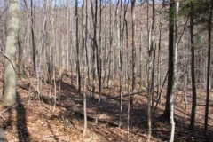 IMG_1362-400x300