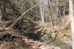 IMG_1366-400x300