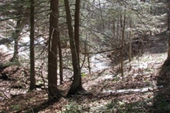 IMG_1367-400x300