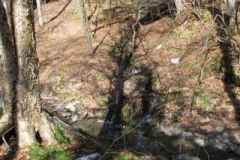 IMG_1368-400x300