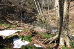 IMG_1369-400x300