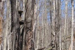 IMG_1371-400x300