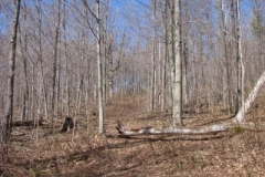 IMG_1373-400x300