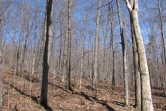 IMG_1374-400x300
