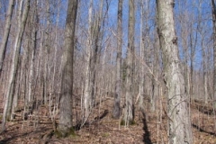 IMG_1375-400x300