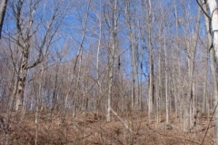 IMG_1379-400x300