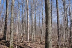 IMG_1380-400x300